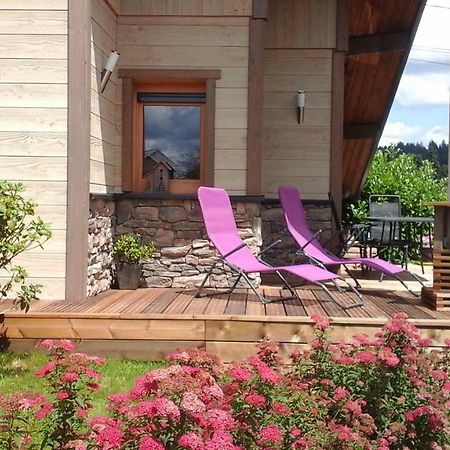 Chalet La Petite Perle Gérardmer Dış mekan fotoğraf