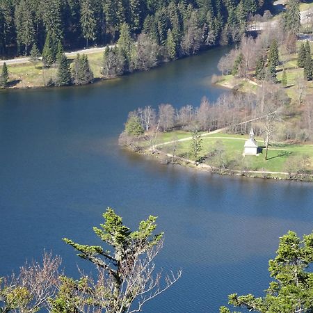 Chalet La Petite Perle Gérardmer Dış mekan fotoğraf