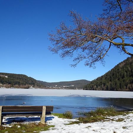Chalet La Petite Perle Gérardmer Dış mekan fotoğraf