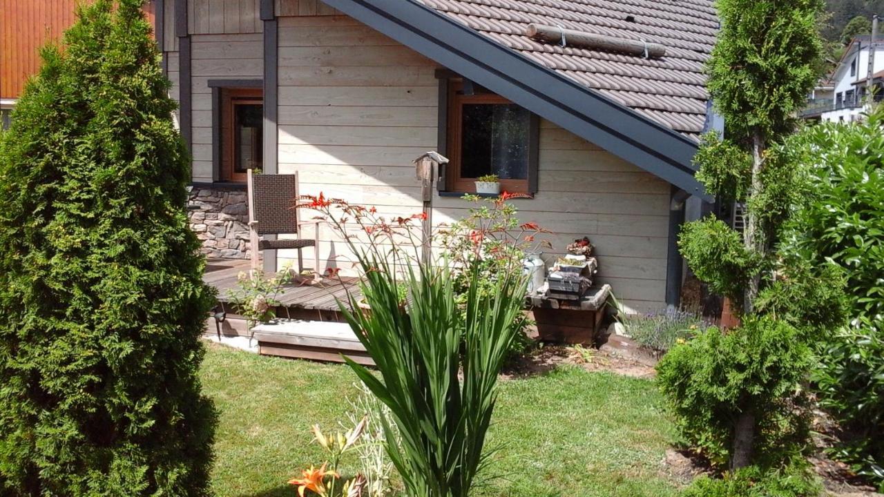 Chalet La Petite Perle Gérardmer Dış mekan fotoğraf