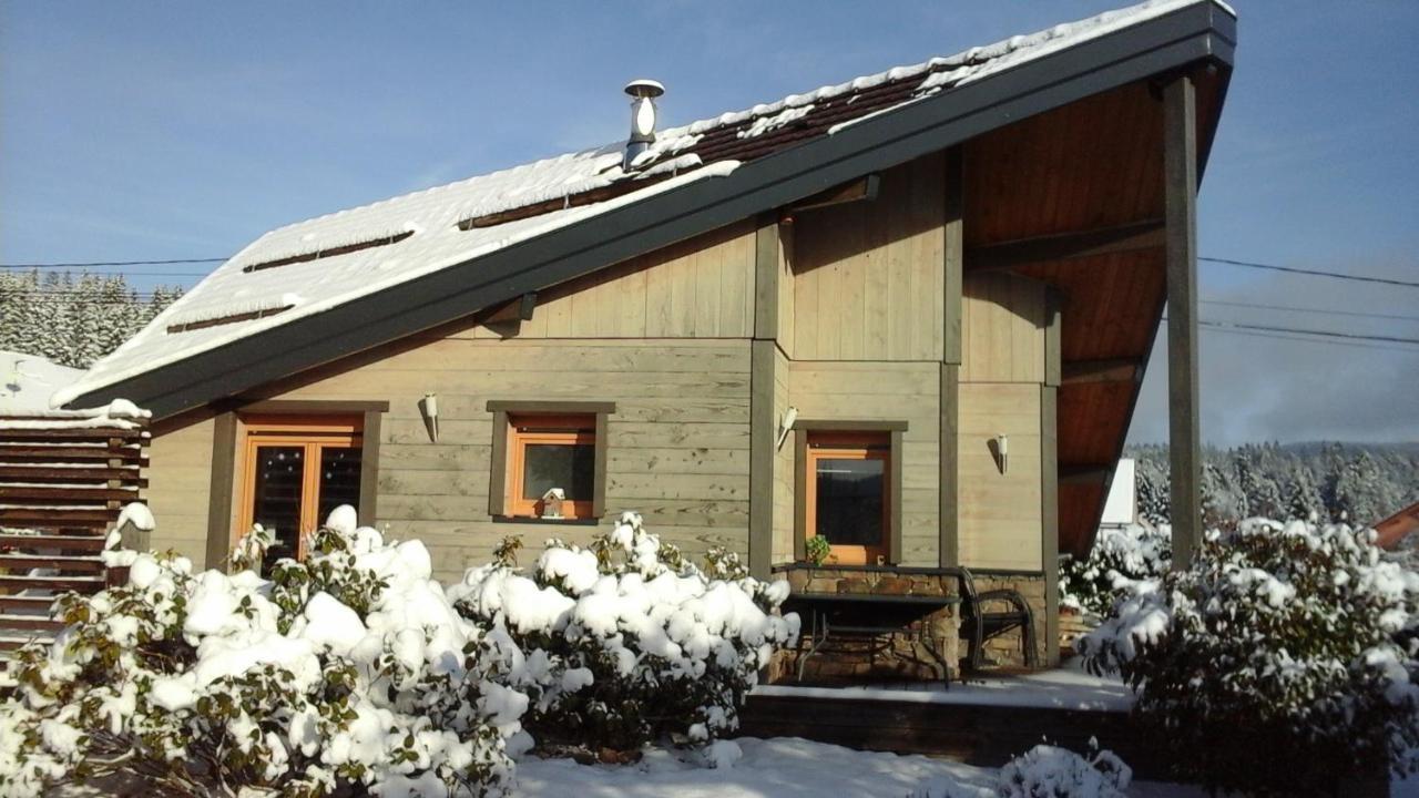 Chalet La Petite Perle Gérardmer Dış mekan fotoğraf
