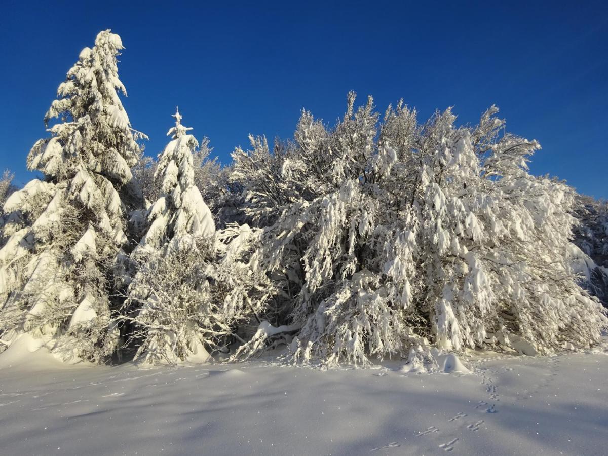 Chalet La Petite Perle Gérardmer Dış mekan fotoğraf