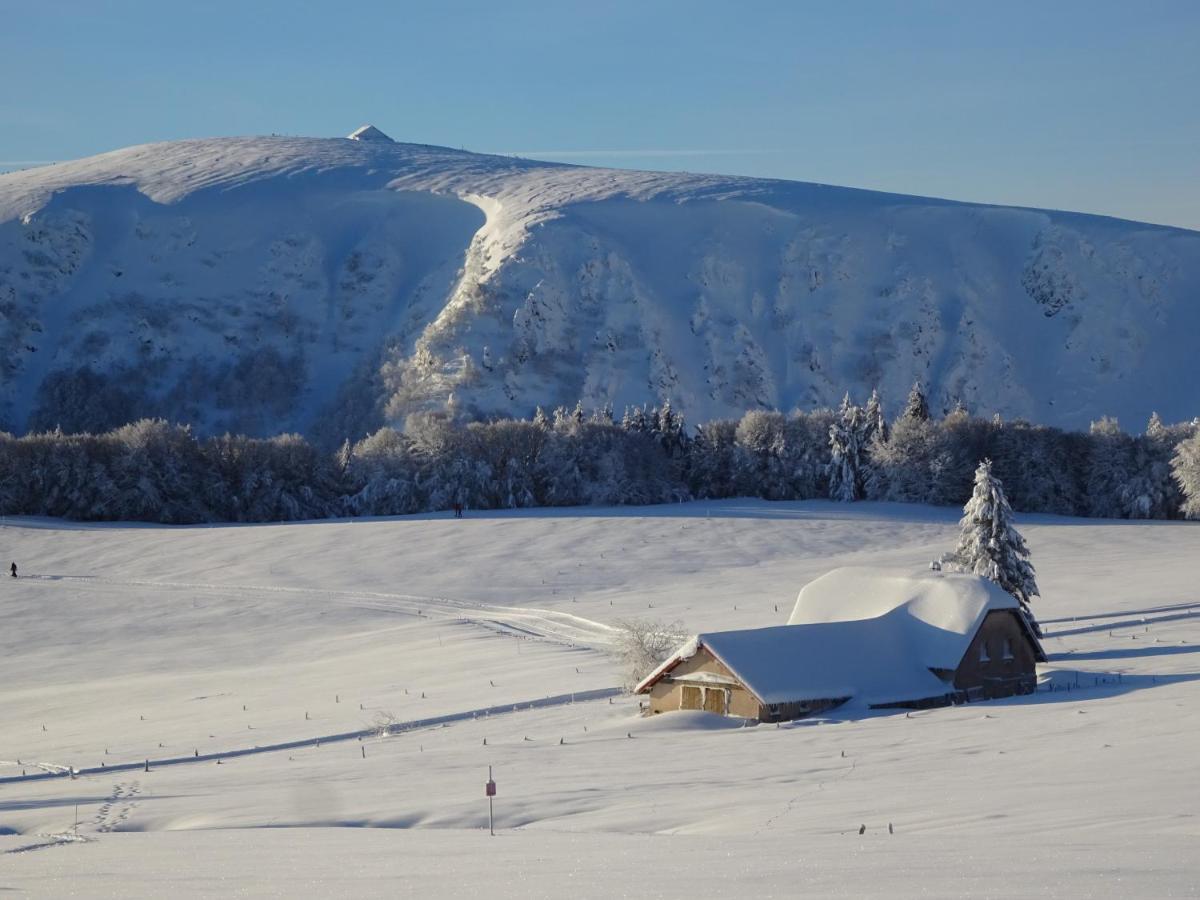 Chalet La Petite Perle Gérardmer Dış mekan fotoğraf