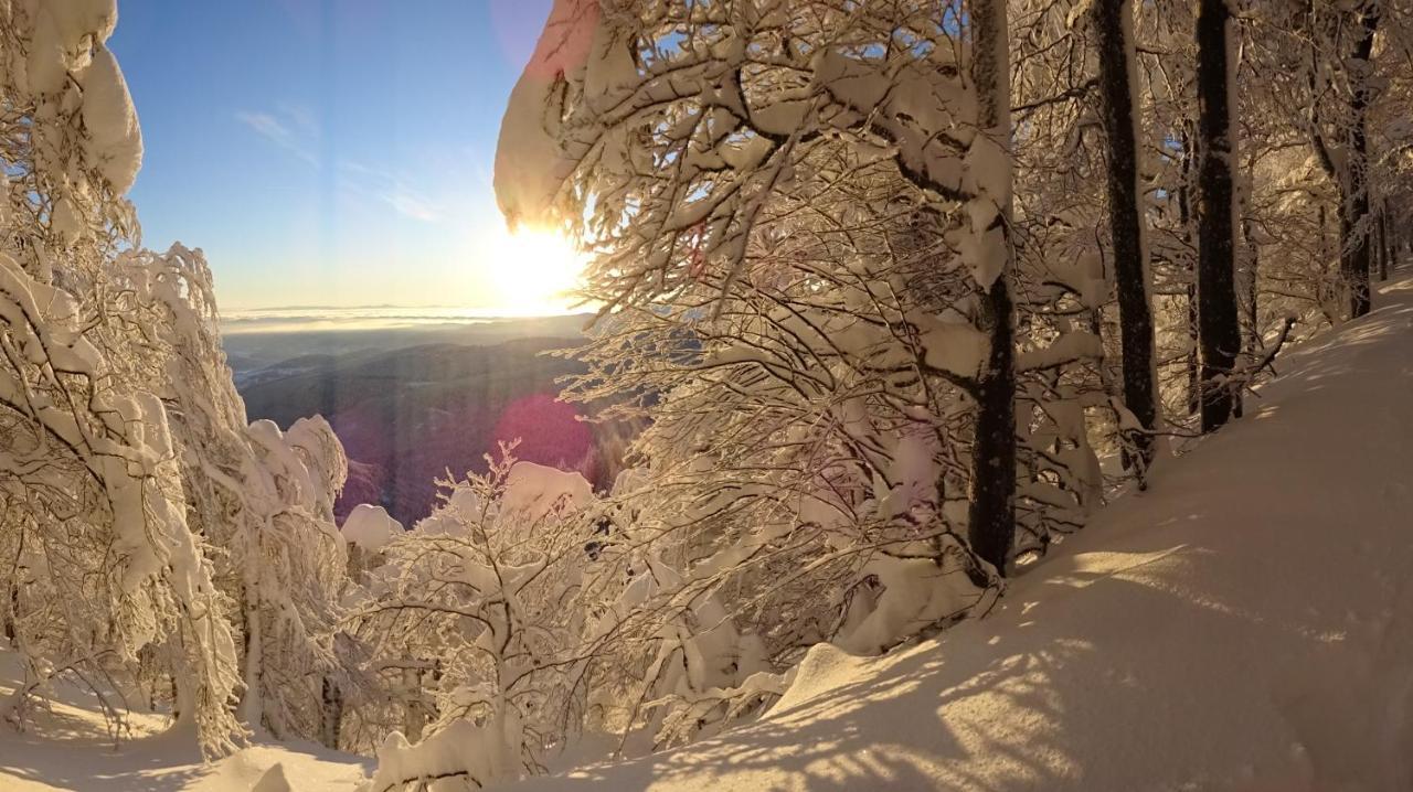 Chalet La Petite Perle Gérardmer Dış mekan fotoğraf