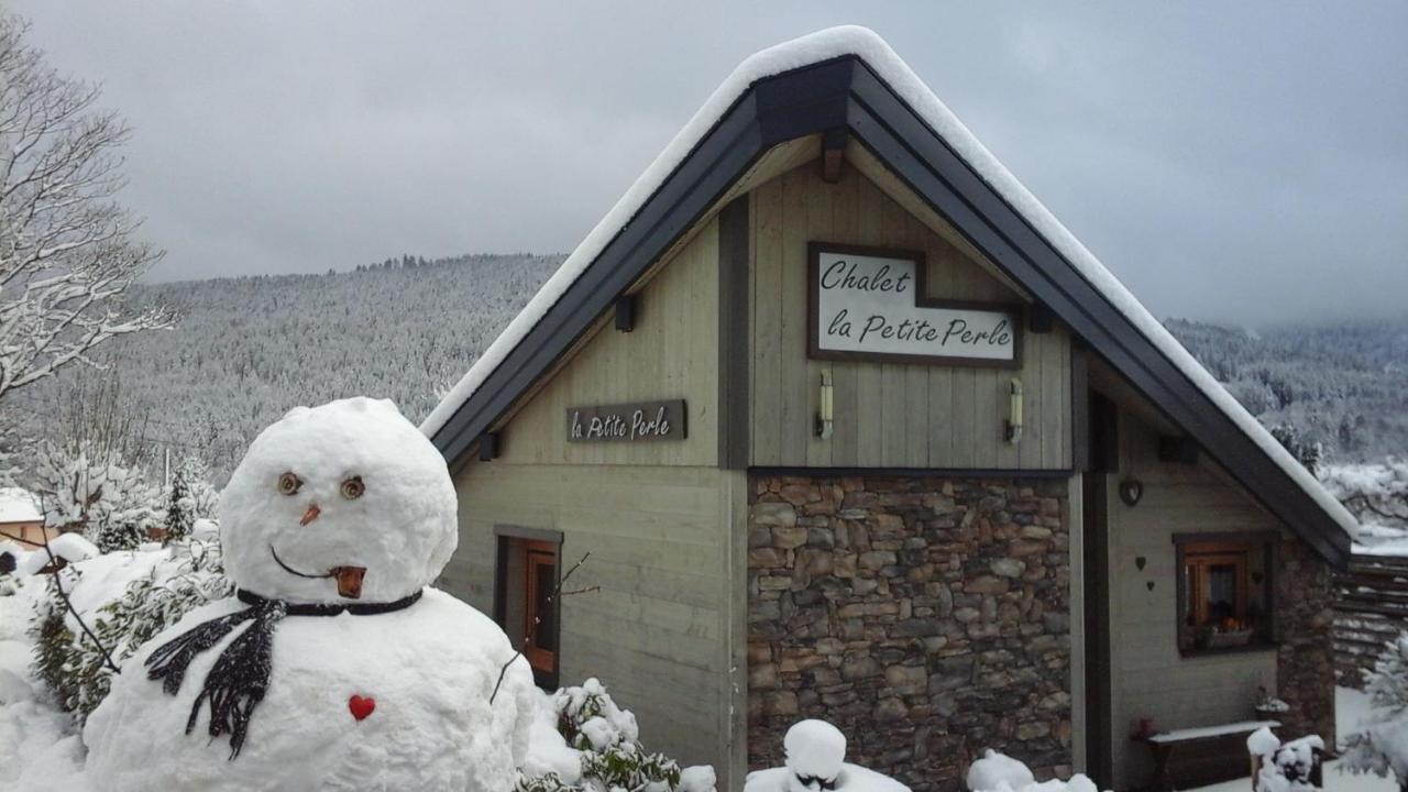 Chalet La Petite Perle Gérardmer Dış mekan fotoğraf