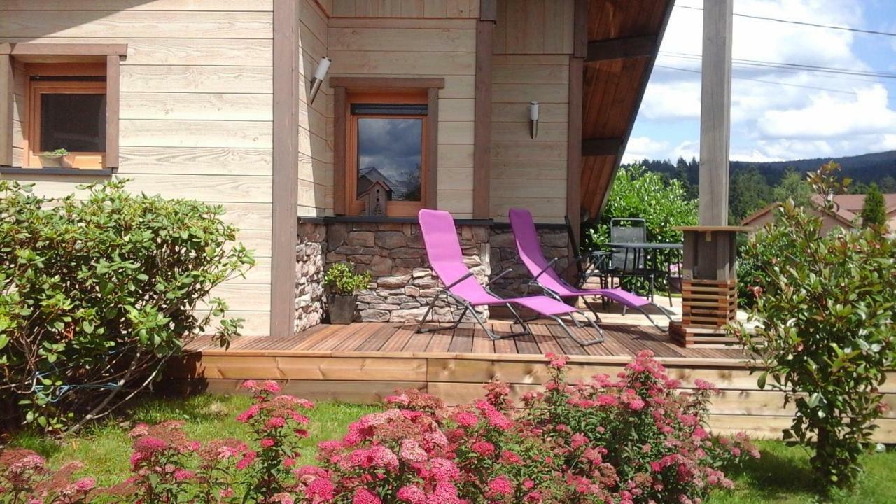 Chalet La Petite Perle Gérardmer Dış mekan fotoğraf
