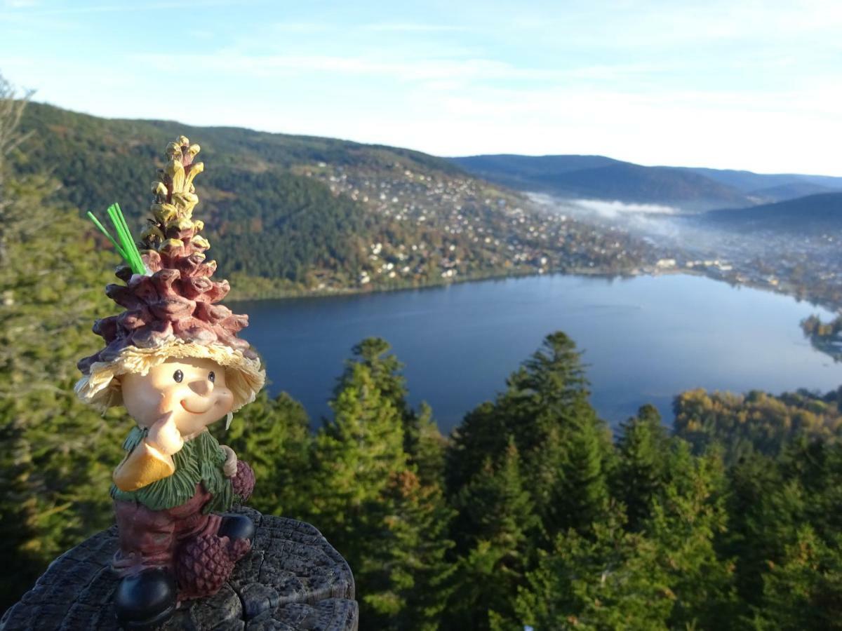 Chalet La Petite Perle Gérardmer Dış mekan fotoğraf