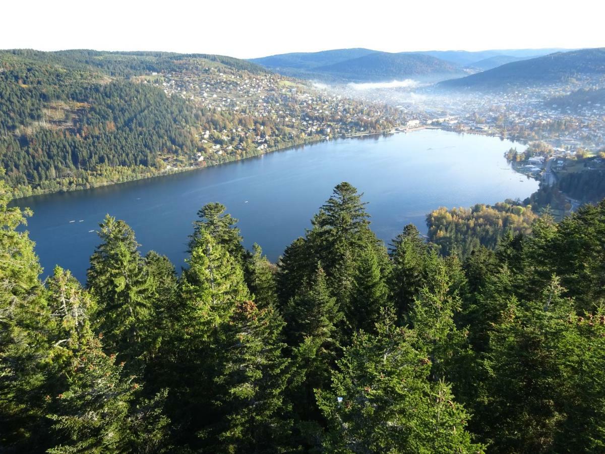 Chalet La Petite Perle Gérardmer Dış mekan fotoğraf