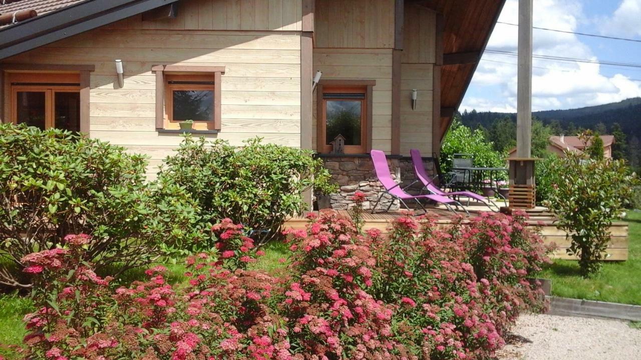 Chalet La Petite Perle Gérardmer Dış mekan fotoğraf