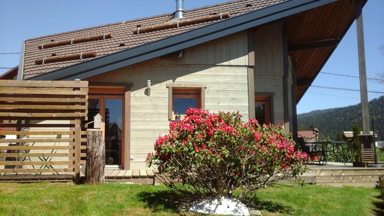 Chalet La Petite Perle Gérardmer Dış mekan fotoğraf