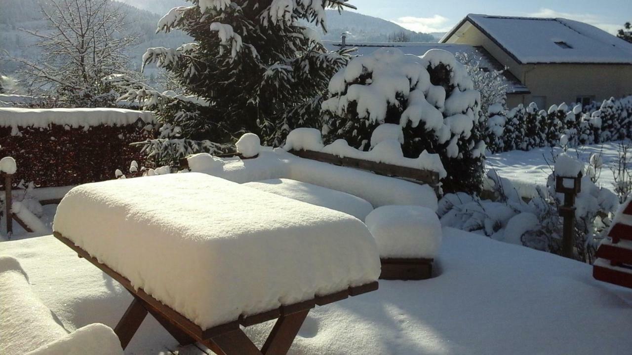 Chalet La Petite Perle Gérardmer Dış mekan fotoğraf