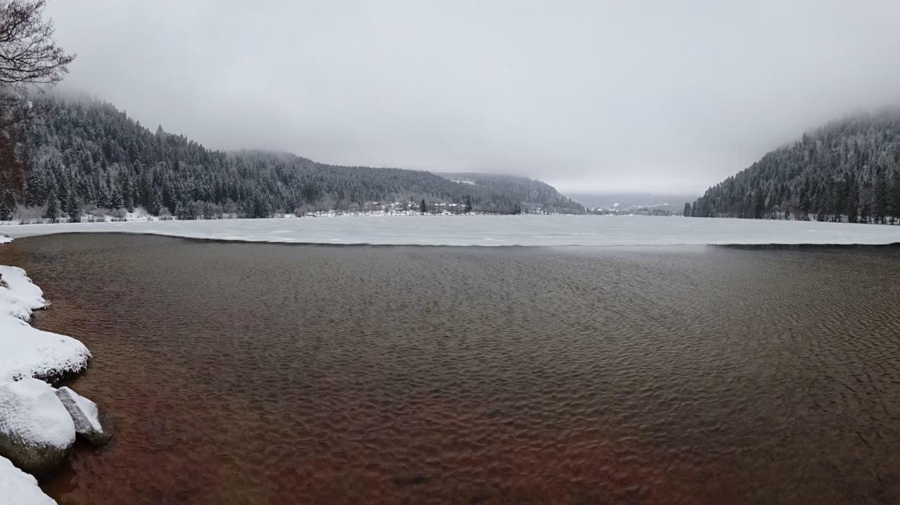 Chalet La Petite Perle Gérardmer Dış mekan fotoğraf