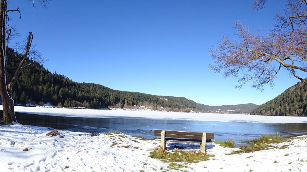 Chalet La Petite Perle Gérardmer Dış mekan fotoğraf