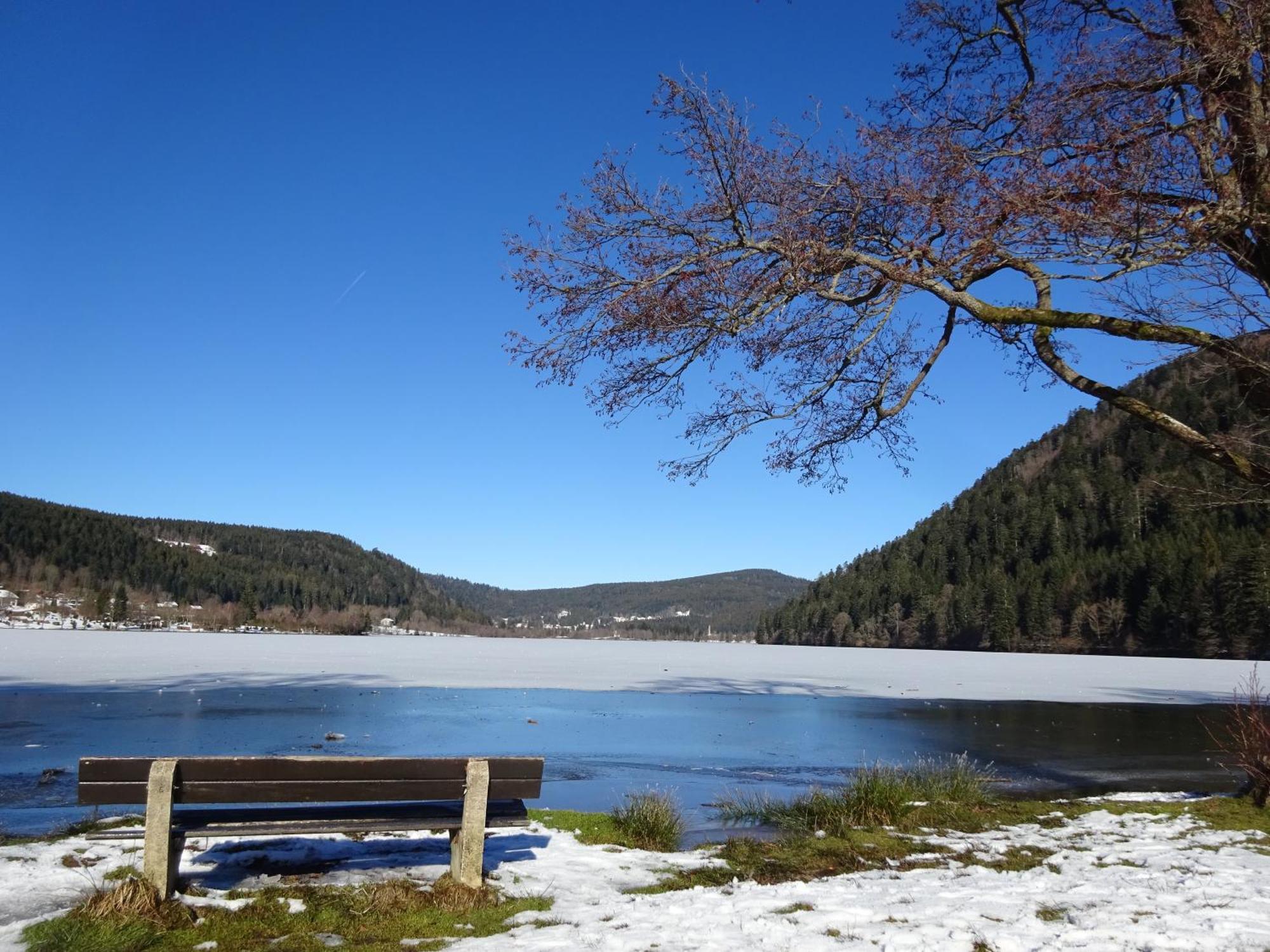 Chalet La Petite Perle Gérardmer Dış mekan fotoğraf