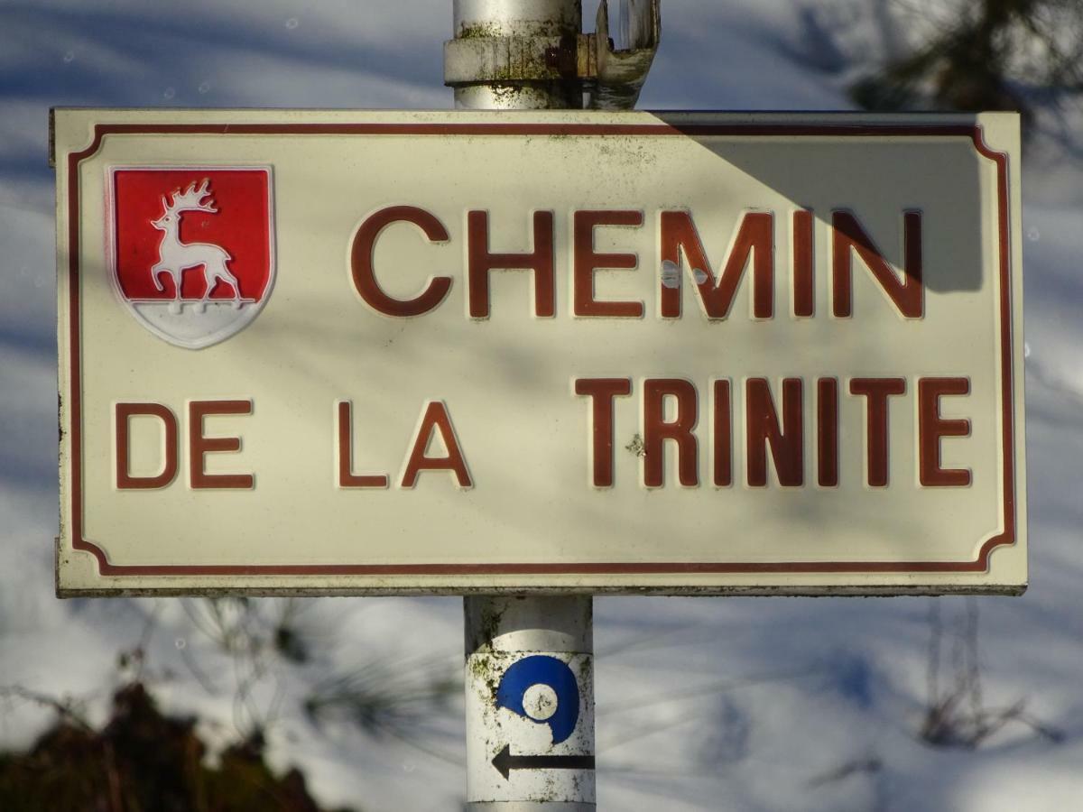 Chalet La Petite Perle Gérardmer Dış mekan fotoğraf
